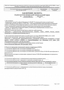 Заключение эксперта по специальной оценке условий труда лист 1